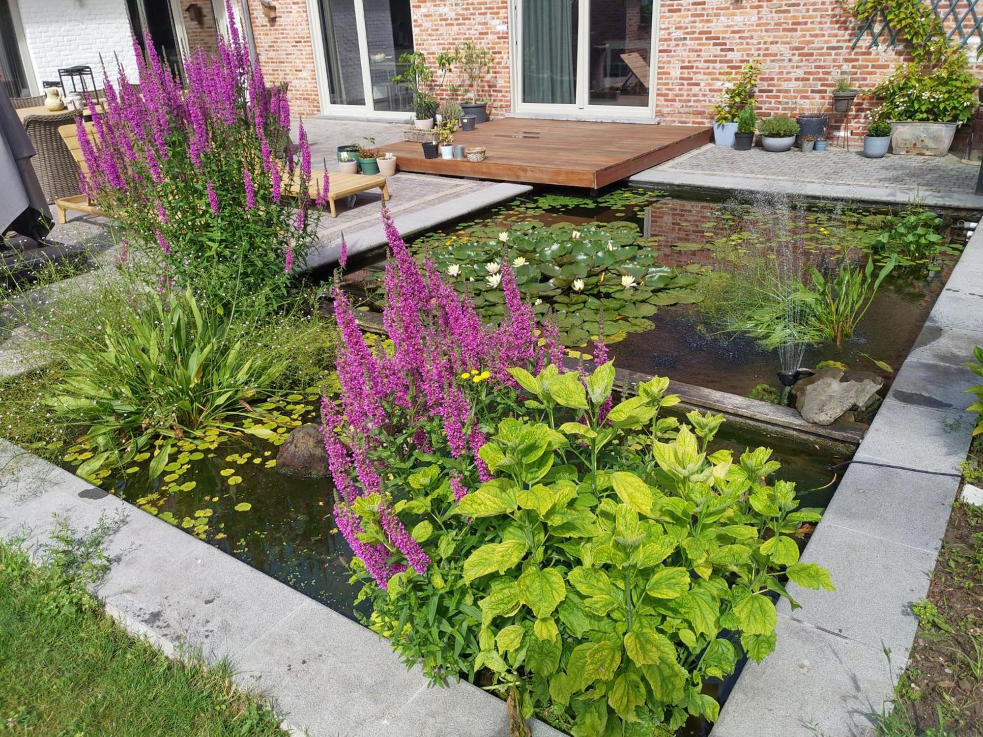 The Two Oaks - Private Garden For Guests Hertsberge Exterior foto