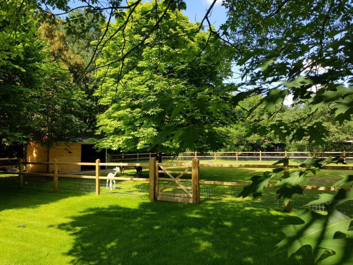 The Two Oaks - Private Garden For Guests Hertsberge Exterior foto