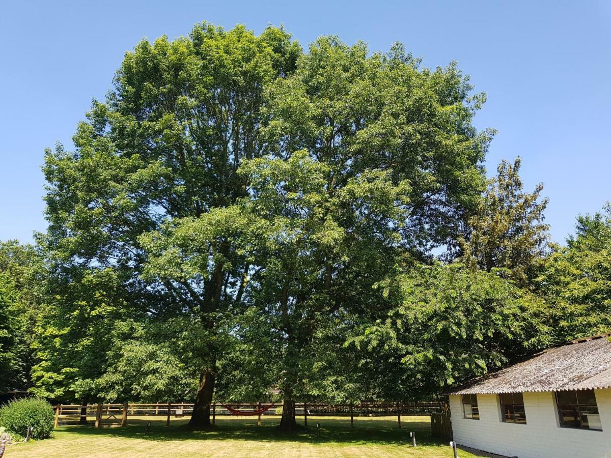 The Two Oaks - Private Garden For Guests Hertsberge Exterior foto